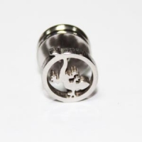 BRU 02 ящерица